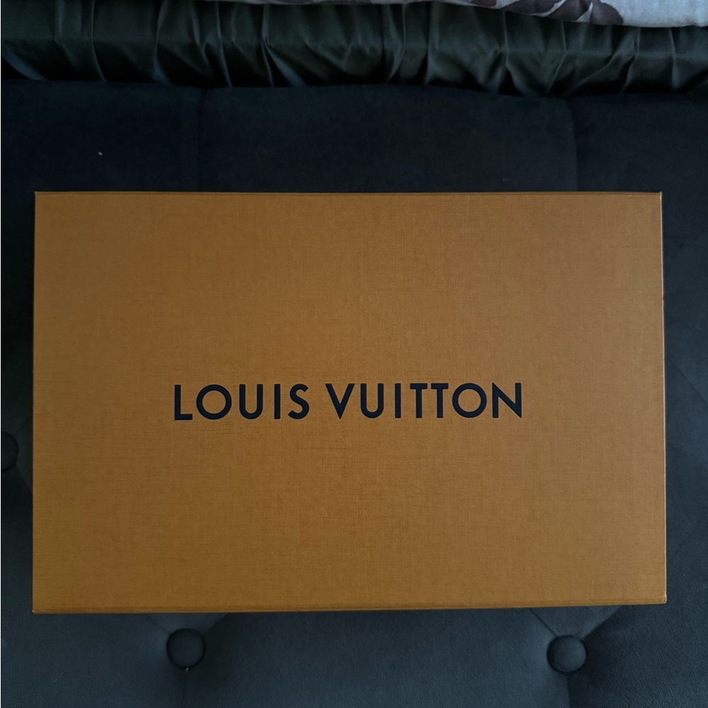 Louis Vuitton Brown Box